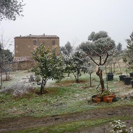 B&B Pietra-Monetta Pietra Moneta Exterior photo